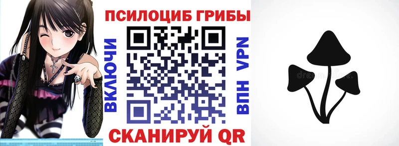 Псилоцибиновые грибы прущие грибы  Купить закладки  Клинцы 